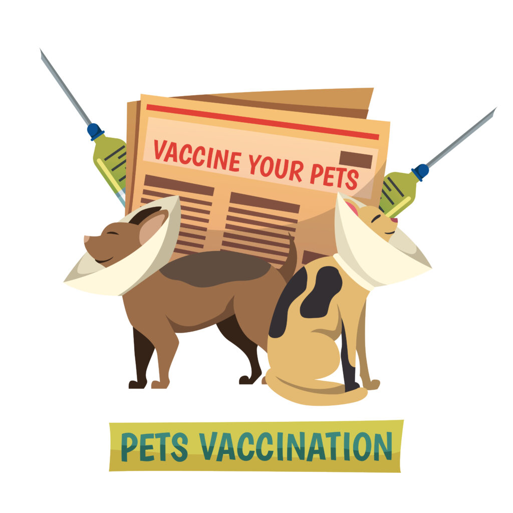 Abhayrab rabies vaccine news explained. Learn about recent concerns, abhayrab injection dose, vaccine use, company response, and expert guidance.