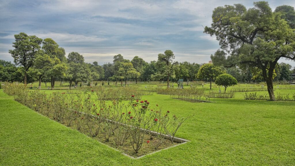 Best Places to visit in chandiagrh, Rose Garden is one of the most beautiful park in chandigarh