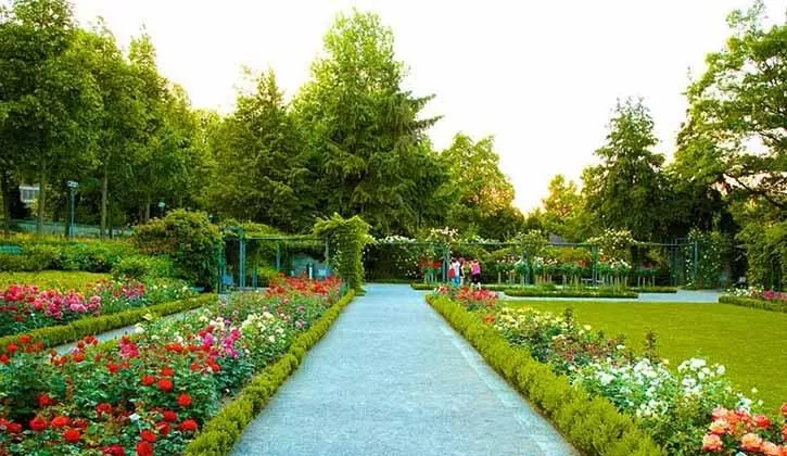 Places to visit in chandiagrh, Rose Garden is one of the most beautiful park in chandigarh