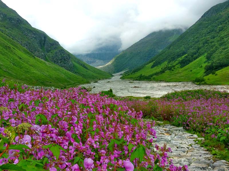 Valley of Flowers – UNESCO World Heritage Site - Copy