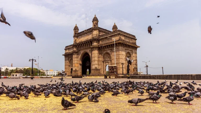 Best Place to Visit in Mumbai Entry of India the Icon of Mumbai